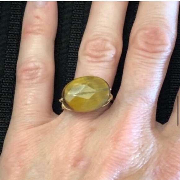 Erin Gallagher Tigers Eye Gold Tone Metal Chain Detail Jewelry Set - Picture 7 of 12